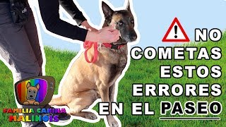 7 ERRORES al ENSEÑAR a mi PERRO A PASEAR (Parte 1) | Adiestramiento Canino en Obediencia