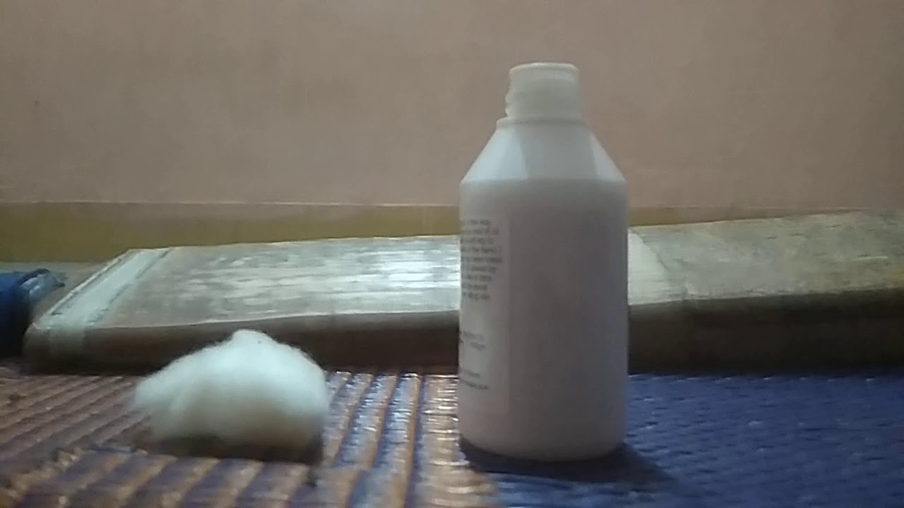 Cricket bat oiling with linseed oil YouTube