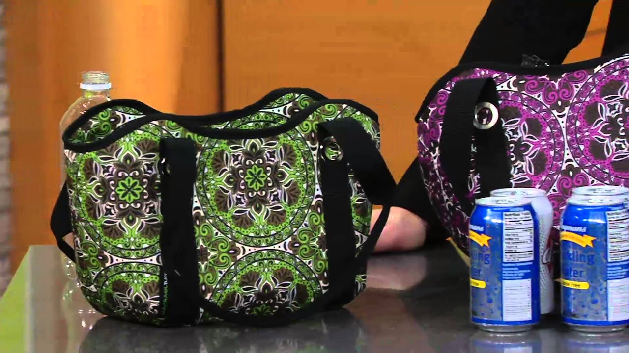 rachael ray milan insulated lunch tote