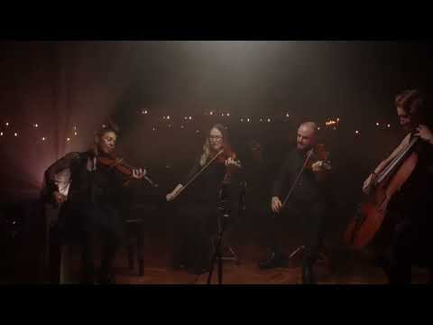 The Night Song