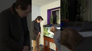 How NOT to Clean a Fish Tank! - TI Sunday #shorts