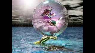 Source Code - Accident In Paradise
