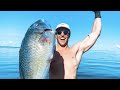 Spearfishing &amp; Fishing For Food Living From The Ocean (Turtle Rescue)