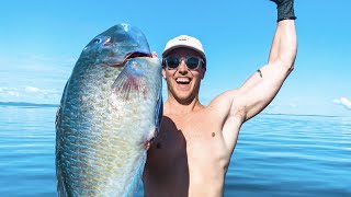 Spearfishing & Fishing For Food Living From The Ocean (Turtle Rescue) by Nick Fry 290,379 views 9 months ago 18 minutes