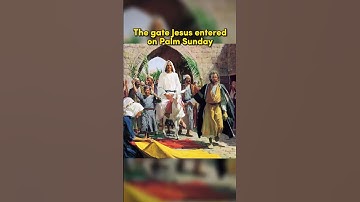 Thumbnail of Things from the Bible in Real Life - part 25 #shorts #bible #christianity