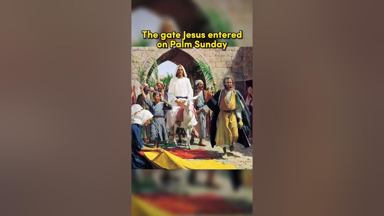 Things from the Bible in Real Life - part 25 #shorts #bible #christianity