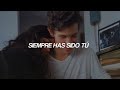 Shawn Mendes - Always Been You (Traducción al Español) 🎶