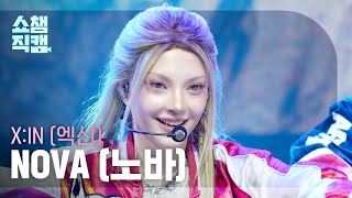 쇼챔직캠 4K Xin Nova 엑신 노바 - Who Dat Show Champion Ep.588 260311
