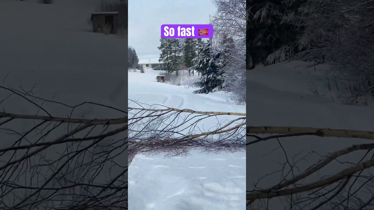 Cut down fast with the chainsaw💪🏽❄️🇳🇴 