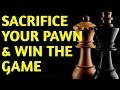 Poison Pawn Trap: Chess Opening TRICK to Win Fast: Secret Checkmate Moves, Strategy & Ideas