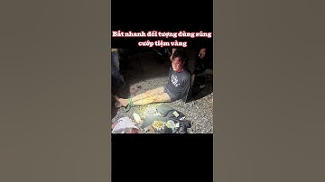 Bắt nhanh đối tượng dùng súng cướp tiệm vàng  #tintuc24h  #tintuc #antt #shorts