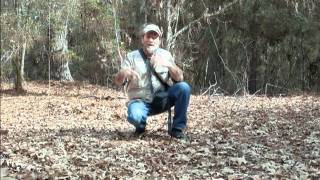 Here There And Everywhere