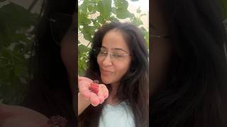 Long time wishes #mulberry #garden #love