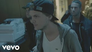 Video thumbnail of "Avicii - Hey Brother (Hollywood Bowl)"