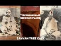 Thiruvannamalai siddhar banyan tree cave     arunachalam  travel to siddha samadhi