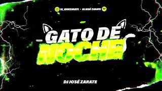 Bad Bunny   Gato de Noche   DJ José Zarate REMIX