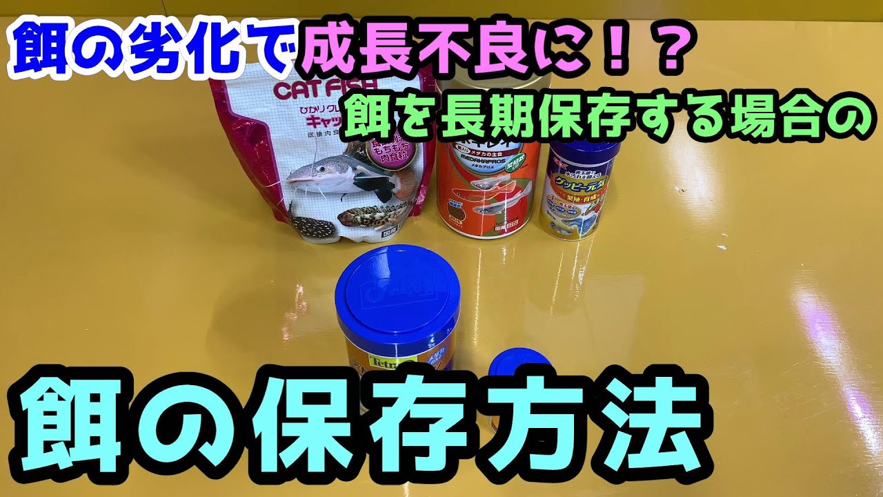 餌の劣化で成長不良に 出来るだけ酸化を抑えて餌を保存する方法 メダカの餌の保存方法 Youtube 餌の劣化で成長不良に 出来るだけ酸化を抑えて餌を保存する方法 メダカの餌の保存方法 Youtube