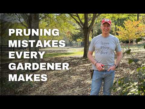 Pruning Mistakes Every Gardener Makes and How to Fix Them