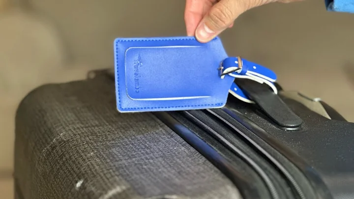 Inexpensive Bright Luggage Tag Faux Leather for Suitcase Women Kids Funny Cute (Travelambo)