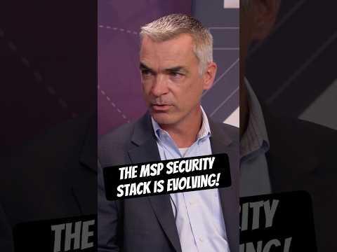 The MSP Security