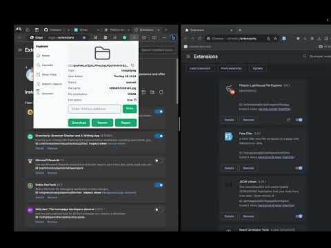 Filecoin Lighthouse File Explorer video preview 2