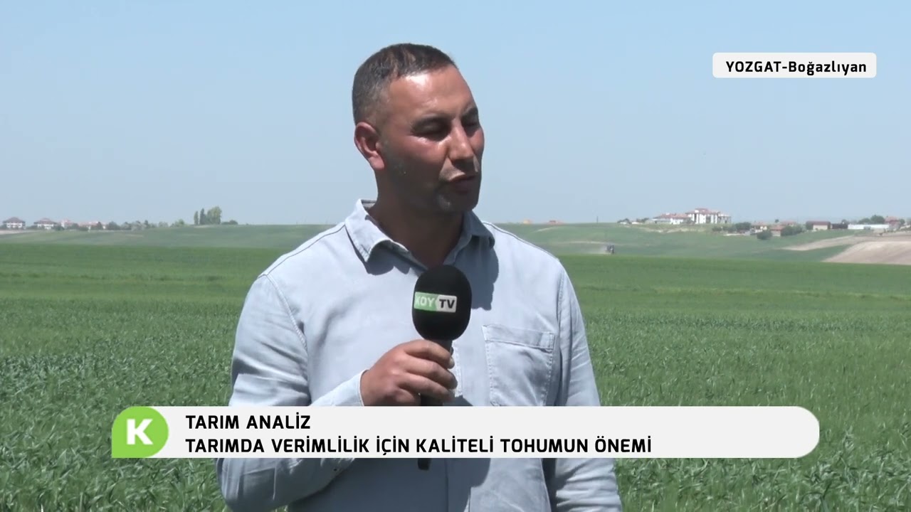 ADİL GÖKSEL,TARIM ANALİZ BUĞDAY'DA İMREN ÇEŞİDİ, İMREN, BUĞDAY, COŞARLAR TOHUMCULUK, BAYRAM ÖZDEMİR