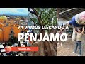 Video de Penjamo