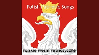 Hej sokoły - Marcin Lewadnowski
