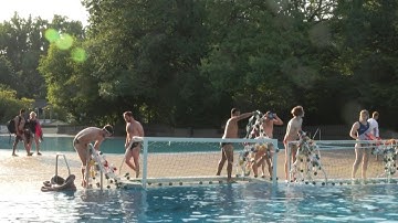 Berlin sports clubs create safe spaces for LGBTQ+ community | AFP