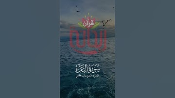 وعسى أن تكرهوا شيئاً وهو خيرٌ لكم.. #مشاري_العفاسي #سورة_البقرة #ريحانة_قرآن #تلاوات #قرآن #ستوريات