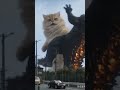 😺vs🦎#sonic #cat #studywithmeandmycat #studywithmeandmycat #kitten #cute #godzilla #vs #catloverz