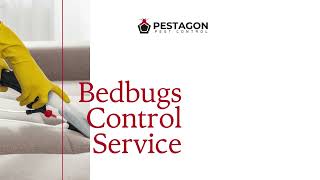Bedbugs Control Brampton | Mississauga | Toronto And Adjacent Areas