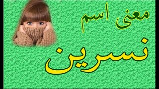 معنى اسم نسرين-أصل اسم نسرين -صفات حاملة اسم نسرين