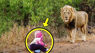 This Lion Approached An Abandoned Crying Boy, Then The Unthinkable Happened!