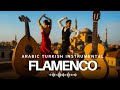 Chill Relaxing Arabic Turkish Instrumental - Spanish Guitar &amp; Arabic Oud