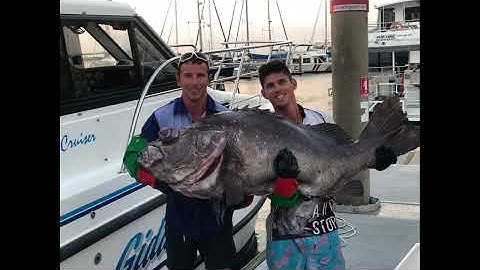 WASSP Tutorial with Backscatter focus for Commercial & Sports Fishers