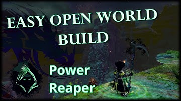 Guild Wars 2 Easy Open World Build - Power Reaper