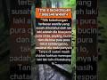 Titik kebohongan terbesar wanita #shorts #fyp #islaminamerica