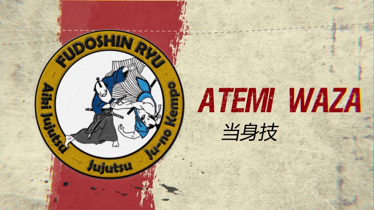 Atemi Waza Self-defense Explained - Fudoshinryu Aiki Jujutsu