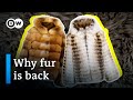 Understanding the Fur Industry and Its Impacts