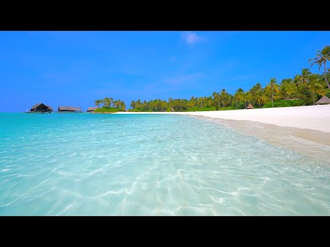  Beach View: 12 Hours of Maldives Ambience & Soft Ocean Sounds