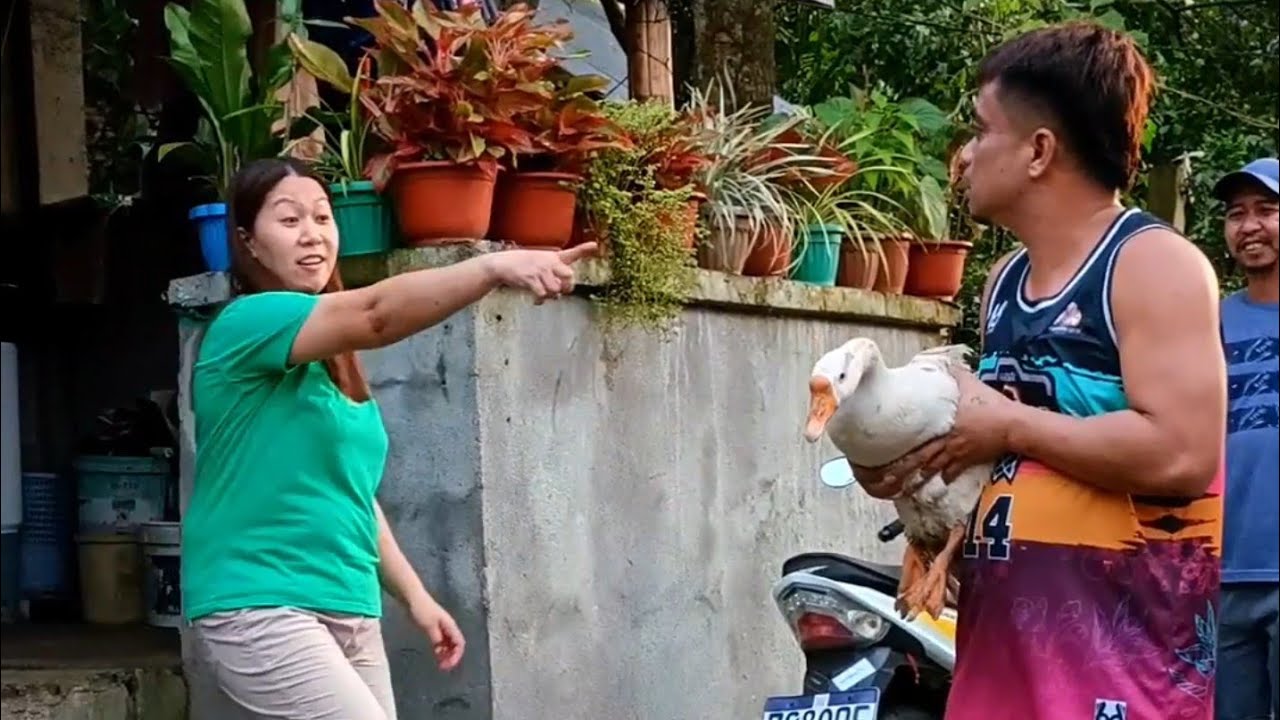 ABA AT BIGLANG NATUTO MAG SABONG ITONG SI ZANDERYA 