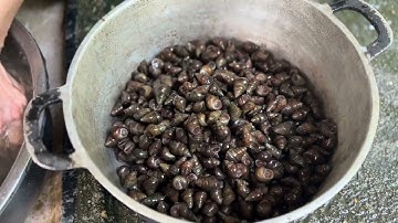 Snails braised with banana and beans - rustic summer meal - raising chickens