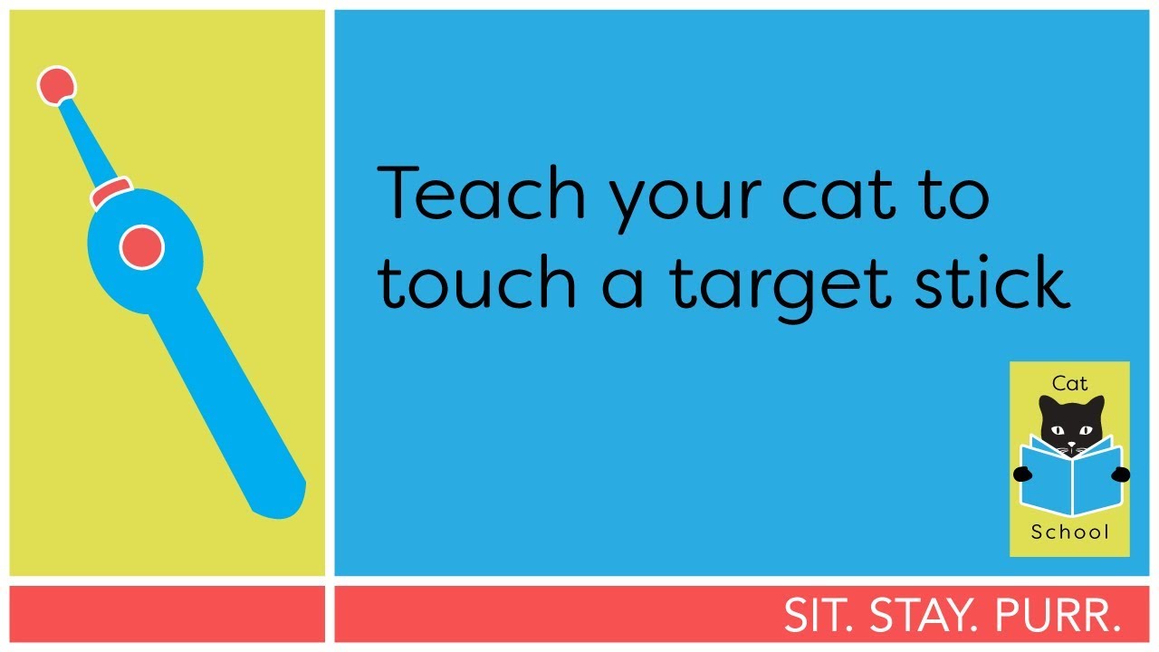 CAT SCHOOL Clicker Training Kit - 1 Cat Training Clicker, 1 Target Stick, 1 Step-by-Step Instruction Booklet - Clicker Tools for Cat Training, Fist