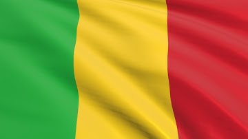 Flag of Mali waving in the wind - Flag animation - Motion background - 4K UHD