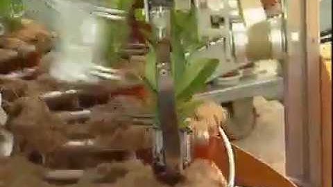 Automation with transplanting integrated in the Ellepot Propagation System