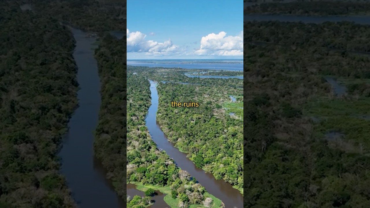 What secrets are hiding in the Amazon Rainforest?