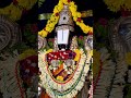 Temple🏰 #temple #tirumala #god #vishnu #old #peace #pooja #hindu #vishnu #like #share #reels #trend