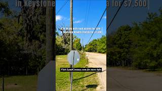 0.36 Acres with road access for Sale in Keystone Heights Florida for $7,500 #fyp #foryou #reels