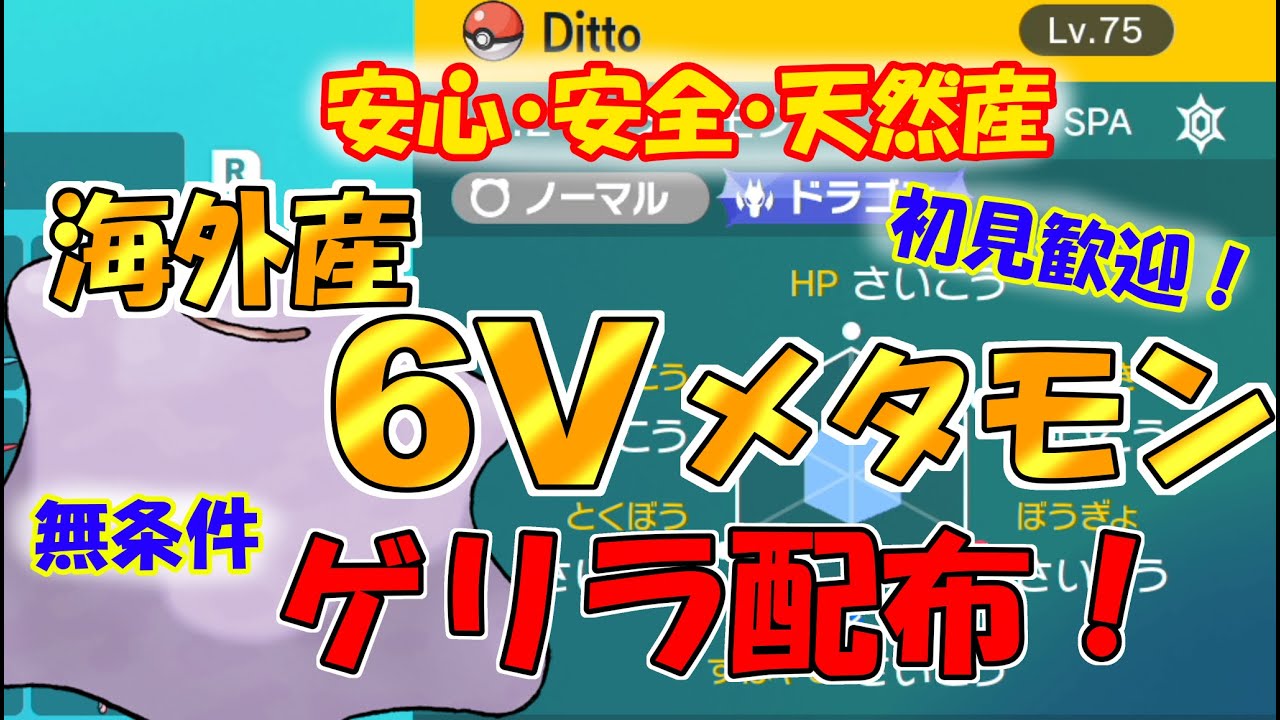 海外産6vメタモン捕獲用 ポケットモンスター ホワイト 海外版 テレビゲーム 携帯用ゲームソフト Ultranetrs Com Br